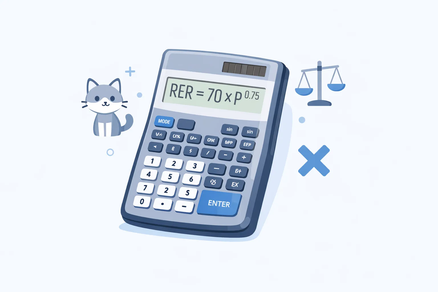 Formule RER pour le calcul du besoin énergétique au repos chez le chat